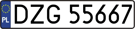 DZG55667
