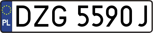 DZG5590J