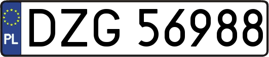 DZG56988