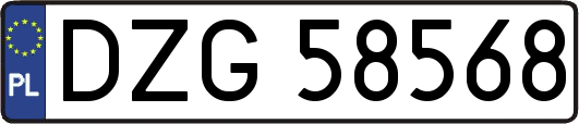 DZG58568