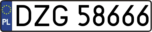 DZG58666