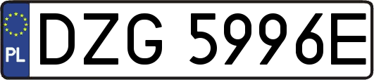 DZG5996E