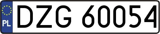 DZG60054