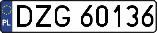 DZG60136