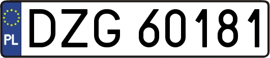 DZG60181