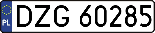 DZG60285