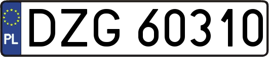 DZG60310