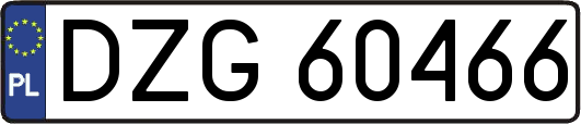 DZG60466
