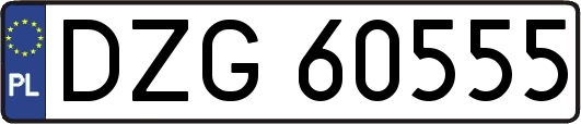 DZG60555