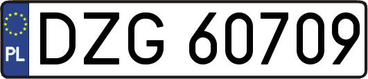 DZG60709