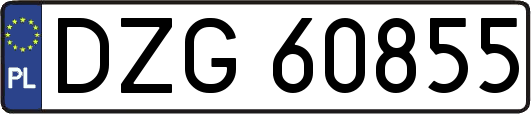 DZG60855