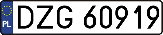 DZG60919