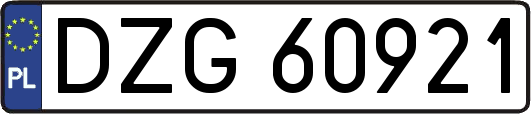 DZG60921