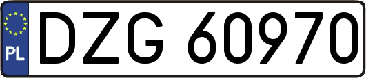 DZG60970