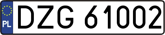 DZG61002