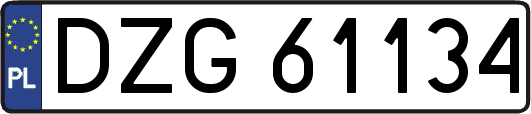 DZG61134