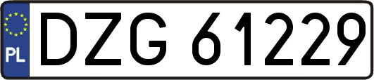 DZG61229