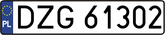 DZG61302