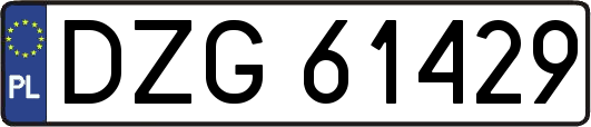 DZG61429