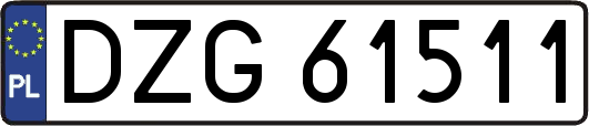 DZG61511