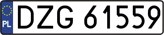 DZG61559