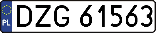 DZG61563