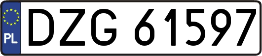 DZG61597
