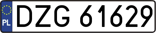 DZG61629