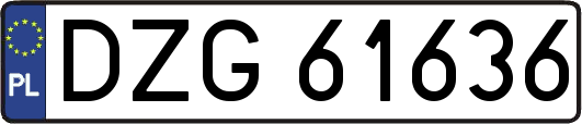 DZG61636