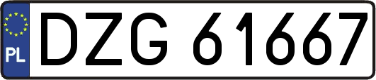 DZG61667