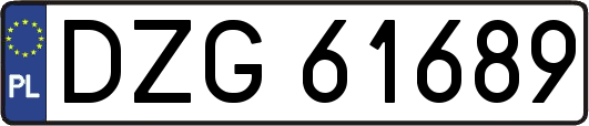 DZG61689