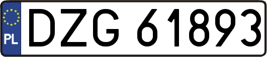 DZG61893