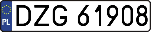 DZG61908