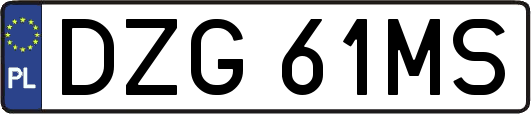 DZG61MS