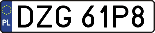 DZG61P8