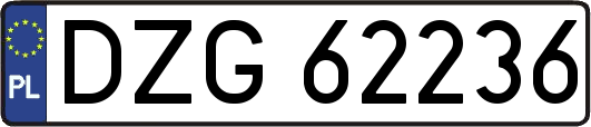 DZG62236