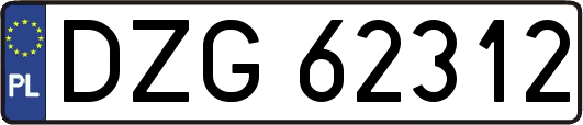 DZG62312