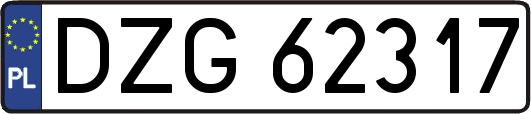 DZG62317