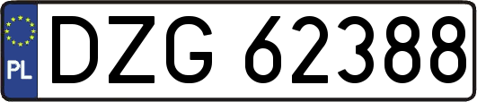 DZG62388