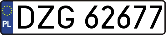 DZG62677