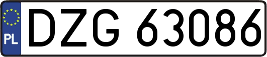 DZG63086