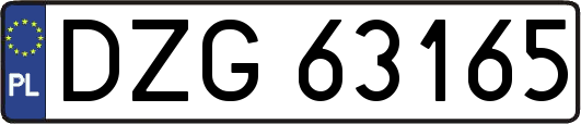 DZG63165