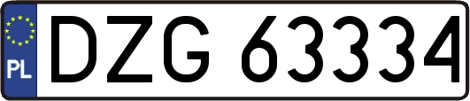 DZG63334