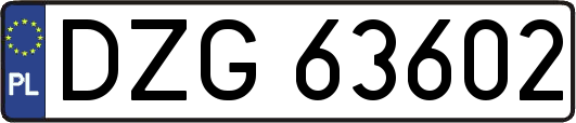 DZG63602