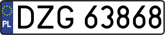 DZG63868