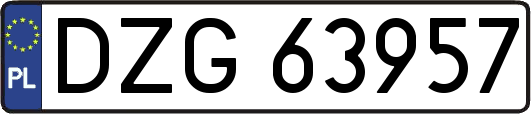 DZG63957