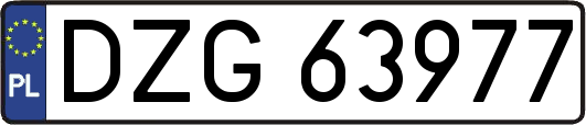 DZG63977