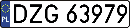 DZG63979