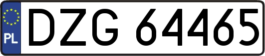 DZG64465