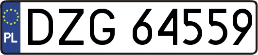 DZG64559